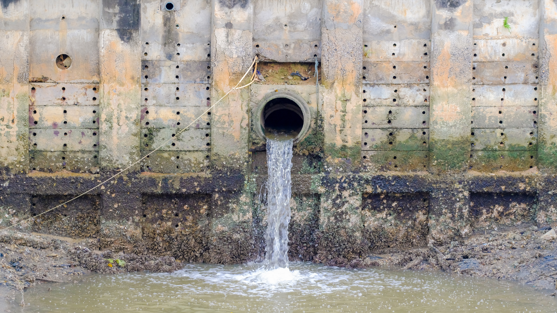 Grade 12: Stormwater course image